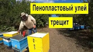 Пенопластовый Умный Улей Почти сломал 😃