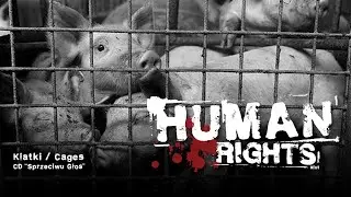 HUMAN RIGHTS „Klatki / Cages” HD