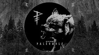 Paleowolf: Age of the Wolf (compilation) | Dark prehistoric tribal ambient