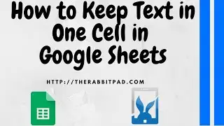 How to Keep Text in One Cell in Google Sheets