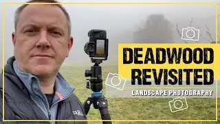 Fog and Landscape Photography - Deadwood Revisited - Photographing a Fallen Dead Tree