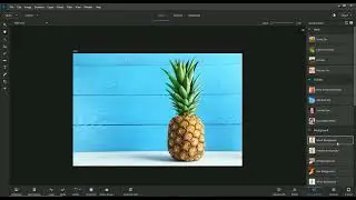AI-powered Quick Actions in Photoshop Elements