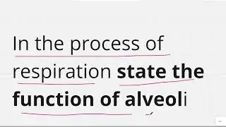 in the process of respiration state the function of alveoli