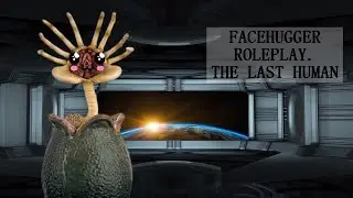 ASMR **V** Facehugger 