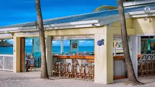 Seaside Cafe & Beach Bar Ambience🌴 Chill Bossa Nova Jazz Playlist to Study, Ocean Wave ASMR