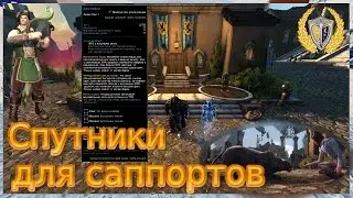 Спутники для саппортов! игра Neverwinter