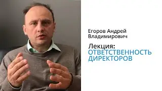 Егоров А.В. Об ответственности директоров. Лекция