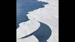 Только вперед, боец ! Семья рядом ! Видео МИЛОТА💕Only forward, fighter! Family is nearby!