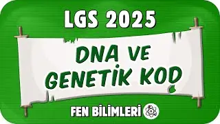 DNA ve Genetik Kod 📗 8FEN3 