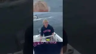 кит уничтожил катер рыбака