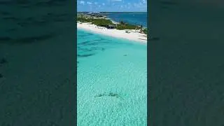 So soothing 😌💗🏝️ #beach #travel #drone #vacation #beachsounds #inspiration #waves #beachambience