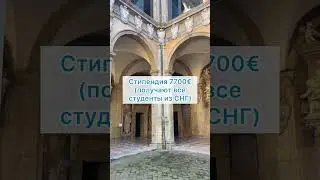 Зачем тебе образование в Италии 🇮🇹  
