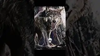 When the Dire Wolf puppies grow up… 