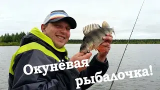 Окунёвая рыбалочка!