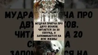 Притча о двух волках