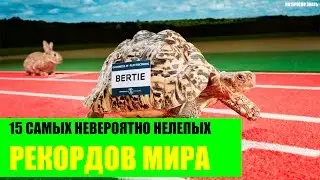 15 самых невероятно нелепых рекордов Мира