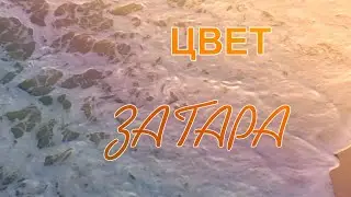 ЦВЕТ ЗАГАРА. Поёт Виталина Красницкая
