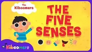 Five Senses - The Kiboomers Kids Learning Songs For Circle Time - Body Parts Song