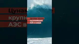 Крупнейшее цунами в Японии: есть жертвы и волны высотою 4 метра