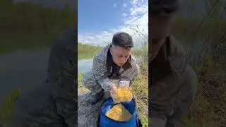 Уловистая прикормка 