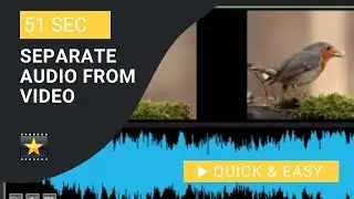 VideoPad Tutorial: Separate Audio and Video in VideoPad