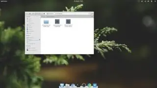 elementaryOS Minimize Button | Usability Guide