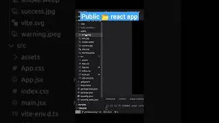 Understanding the public 📂 in a #reactjs app