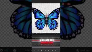 You can do this butterfly animation in After Effects