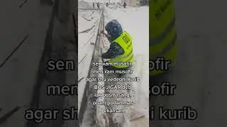 мусофирлар битта лайк