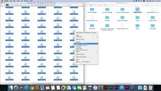 Create new folder in the Essential Graphics folder - for 100 new Titles