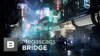 Megascans Bridge Workflow Primer