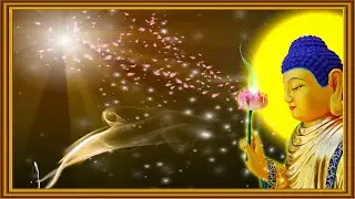 NHẠC THIỀN - TĨNH TÂM - AN NHIÊN TỰ TẠI.