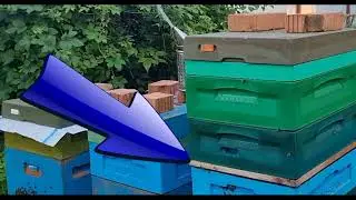 🍯 Как легко отобрать мёд у злых пчёл 🍯
