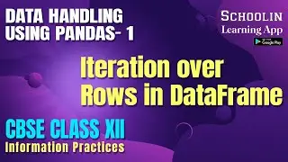 Iteration Over Rows in Dataframe Pandas Python -2| Class 12 Information Practices