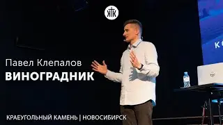 Павел Клепалов "Виноградник"