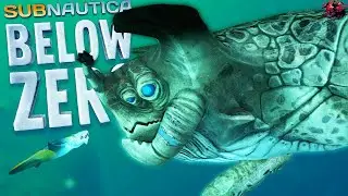 Морской император в Subnautica Below Zero!