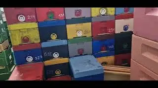 А вам что больше нравится  Карника,  Бакфаст Ф1 1. November 2024