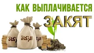 ВСЕ, что нужно знать О ЗАКЯТЕ | Время покаяния