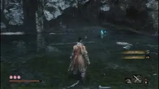 Sekiro™: Shadows Die Twice_獅猿