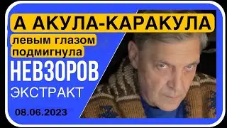 🧨Расстрел стариков/ куда потратить 20 миллиардов/тот самый полковник/ хорошерусская стая