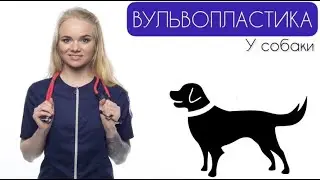 Вульвопластика/Эпизиопластика❗