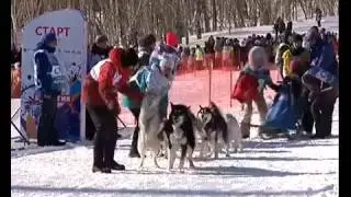 The parade of the couvars launched the Beringia 2017