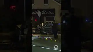 Hamilton couple, dog die in single-vehicle crash in Burlington