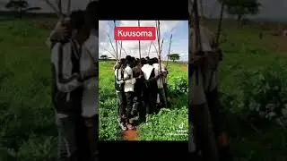 KUSOM, Borana traditional folk song, it's presented by youthful aged men, dedicated to praise Women