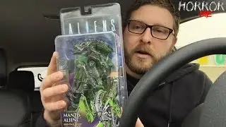 Toy Hunting (AMAZING HAUL) w/ Horror in Me