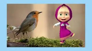 Super Crazy Kids : Birds Rhymes Song - Robin Bird Song - Super Crazy Kids