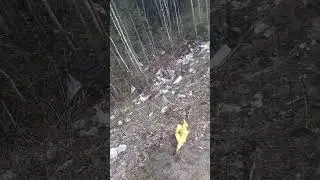 Экологическая катастрофа на реке Печора / Мусорный полигон в опасной близости / Природа в опасности