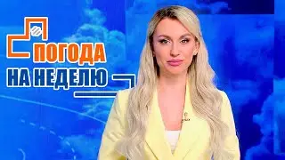 +27 И ГРОЗЫ! | Погода на всю неделю! | Прогноз погоды с 14 по 19 мая 2023 | Плюс-минус