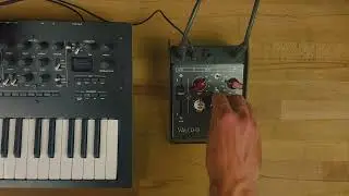 Valco KGB Dist Pedal Sound Demo with Korg Minilogue XD (no talking)