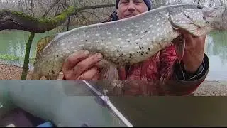 Только  для Вас . Видео для души и хорошего настроения с берегов реки Хопер .